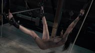 Breaking Her Fences - Pic 4